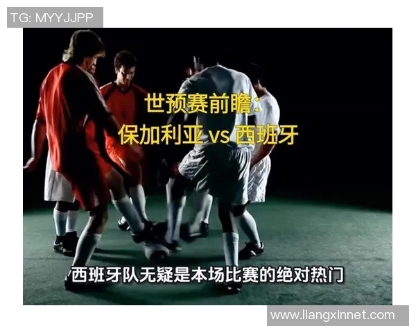 荷兰与保加利亚比赛前瞻分析及胜负预测详解